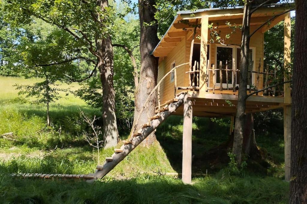 Апартаменты Treehouse Lea Mikulasovice Экстерьер фото